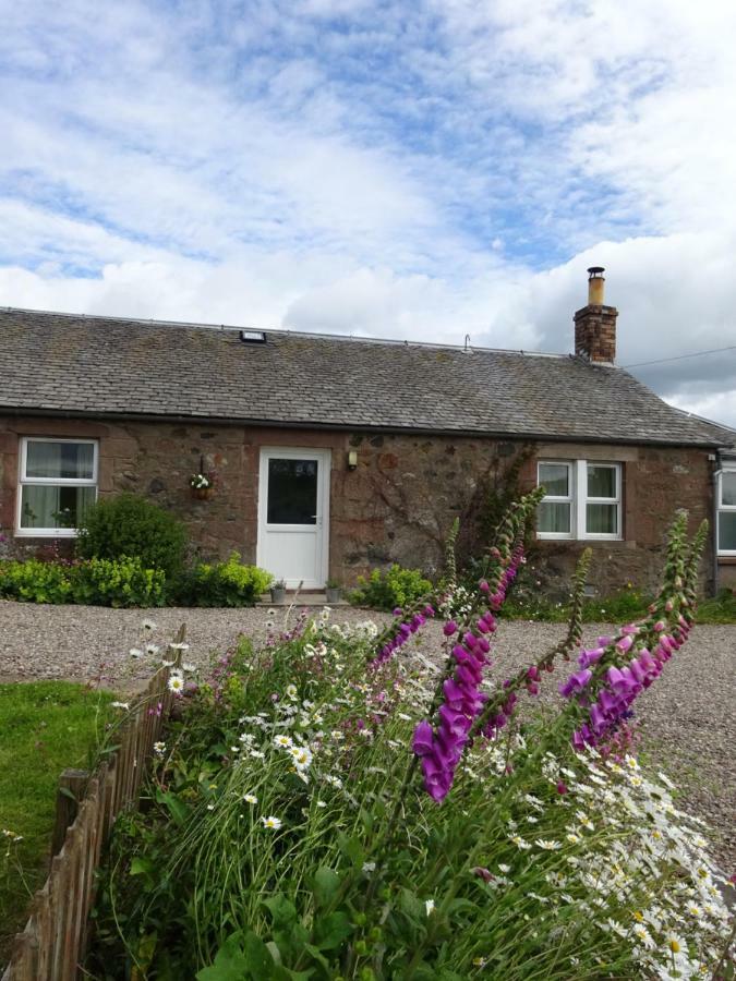 Incheoch Farm Cottage Kilry Eksteriør bilde
